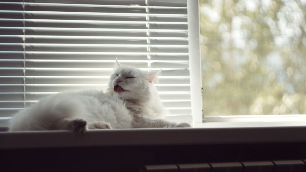 Photograph by Алёна Бондаренко