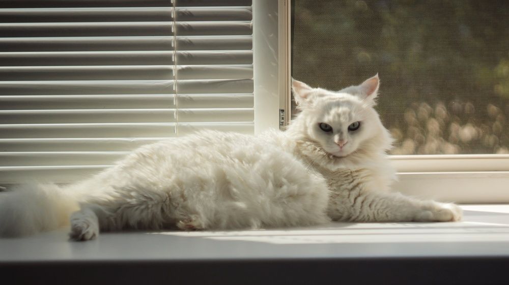 Photograph by Алёна Бондаренко