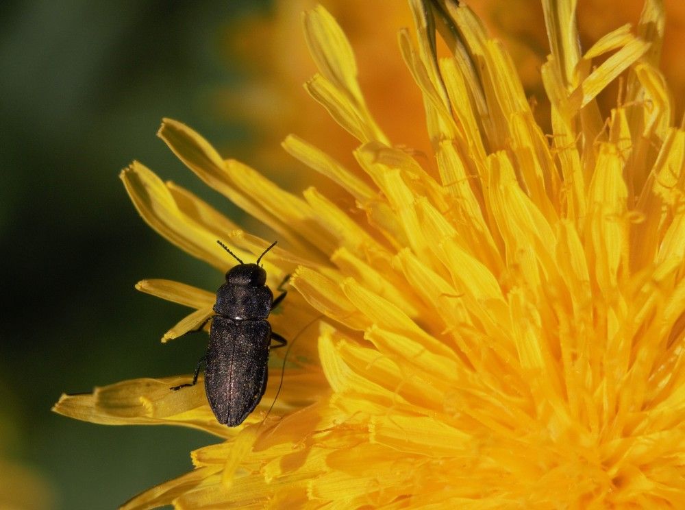 Photograph by Елена Федорова
