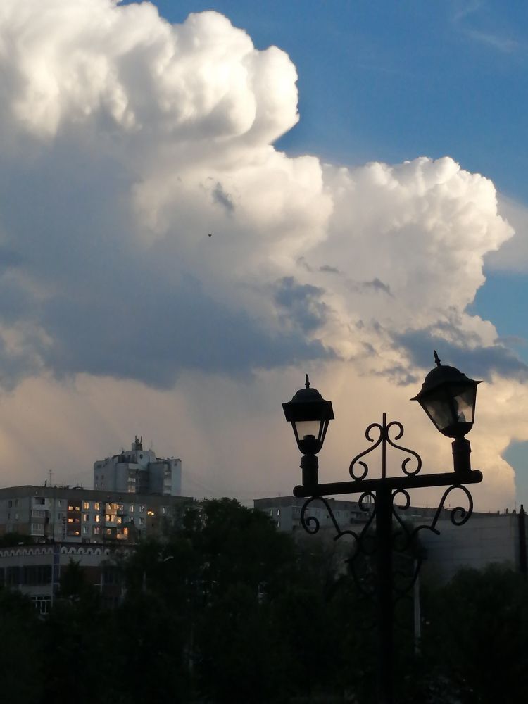 Photograph by Tany Pol