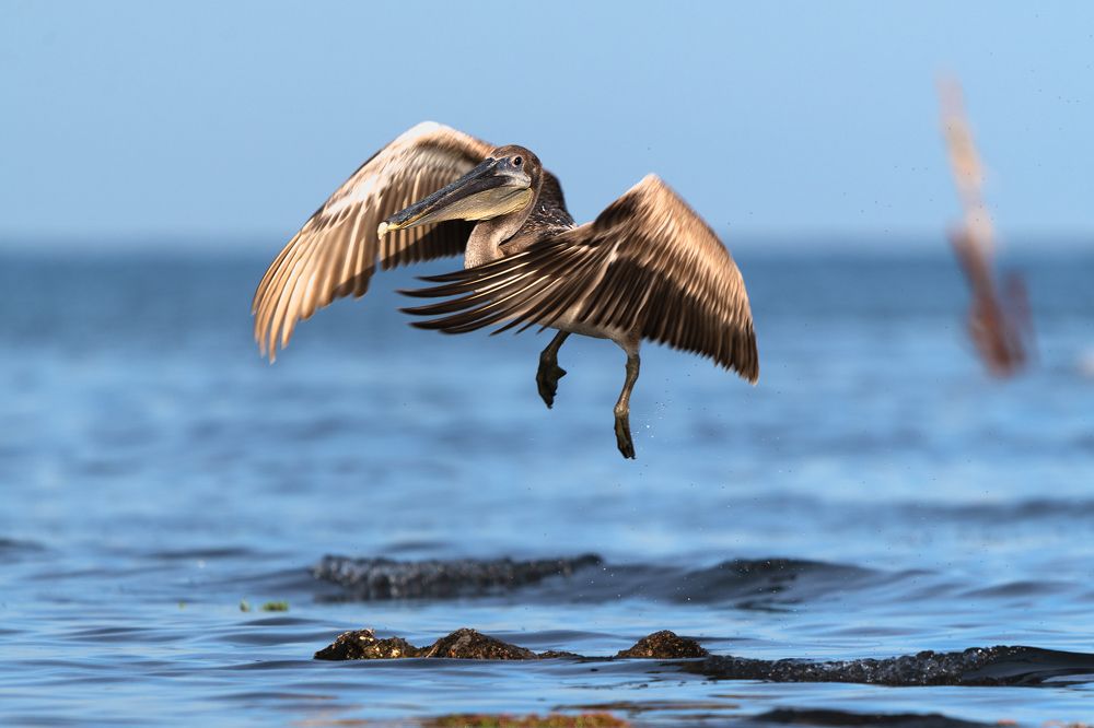Photograph by Abel Cancino Gutierrez
