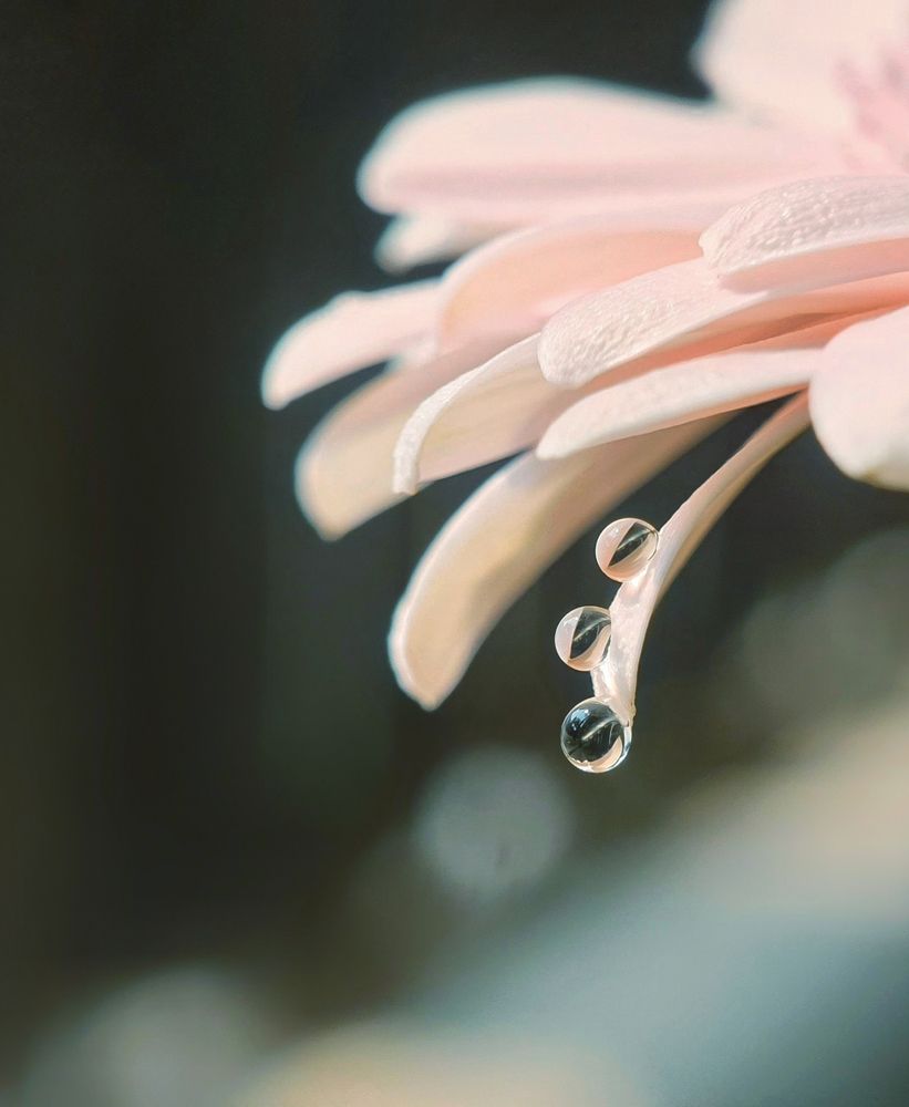 Photograph by NGUYEN LIEN