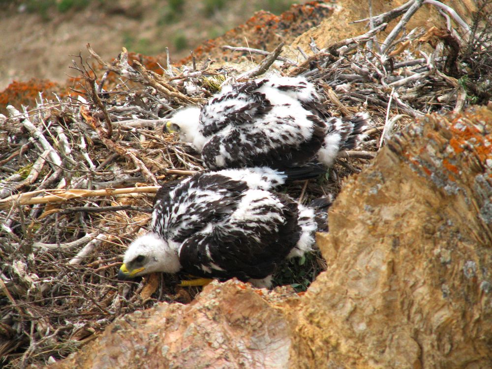 Photograph by Бердибек Султамуратов