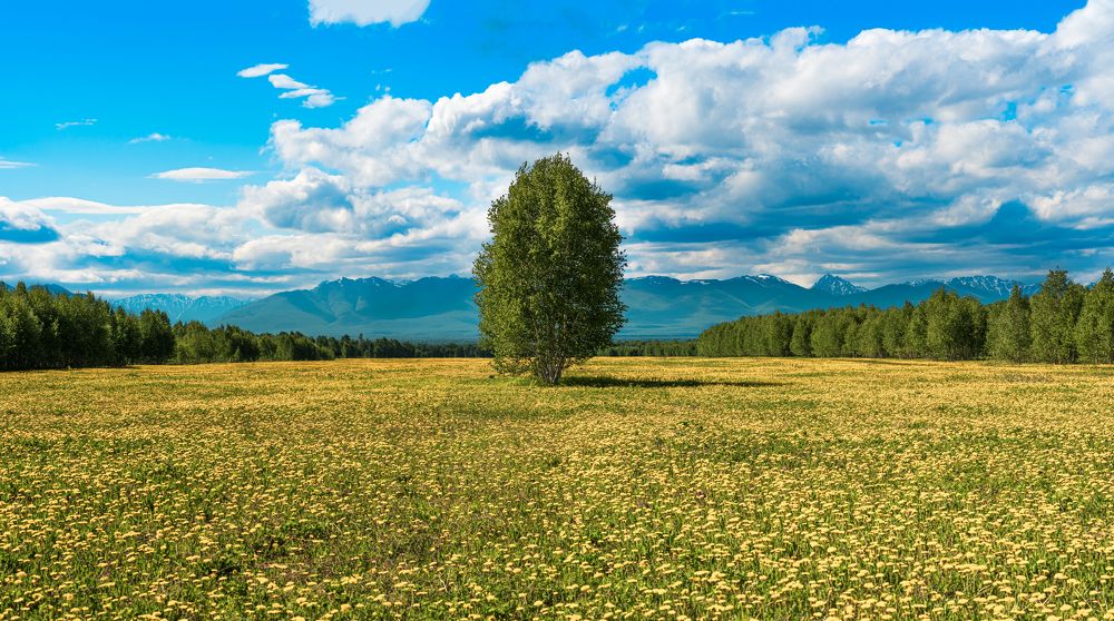 Фотография автора Антон Сандалов