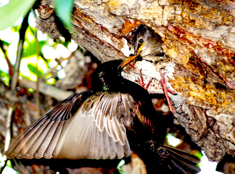 Photograph by Бердибек Султамуратов