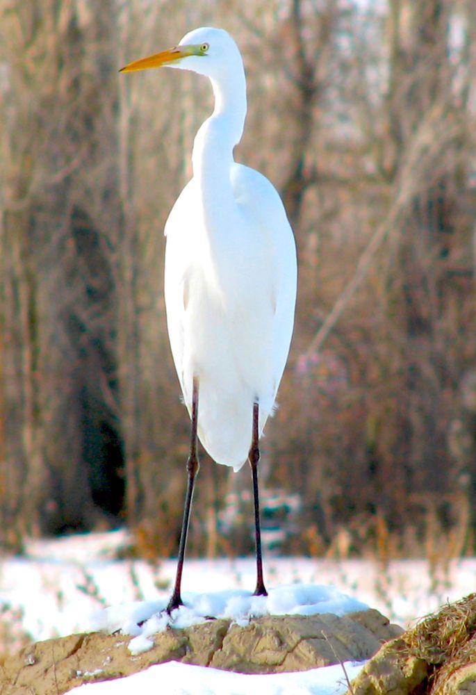 Photograph by Бердибек Султамуратов