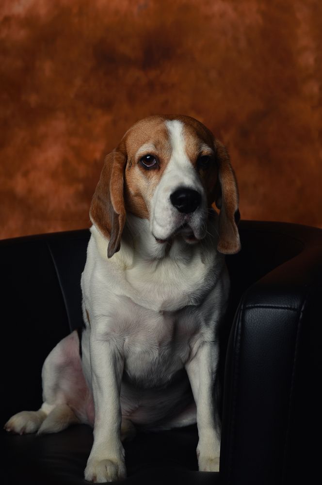 Photograph by Виктория Миллер