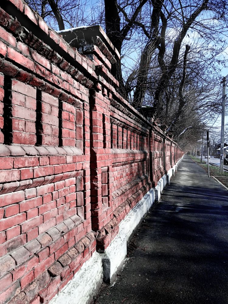 Photo #7670537