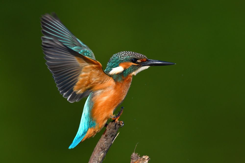 Photograph by Вячеслав Ладанов