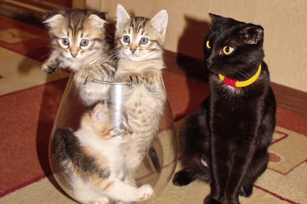 Photograph by Марина