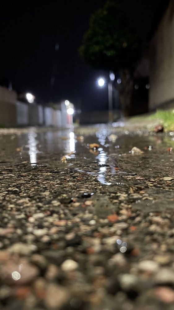 Photograph by Gerardo Jimenez