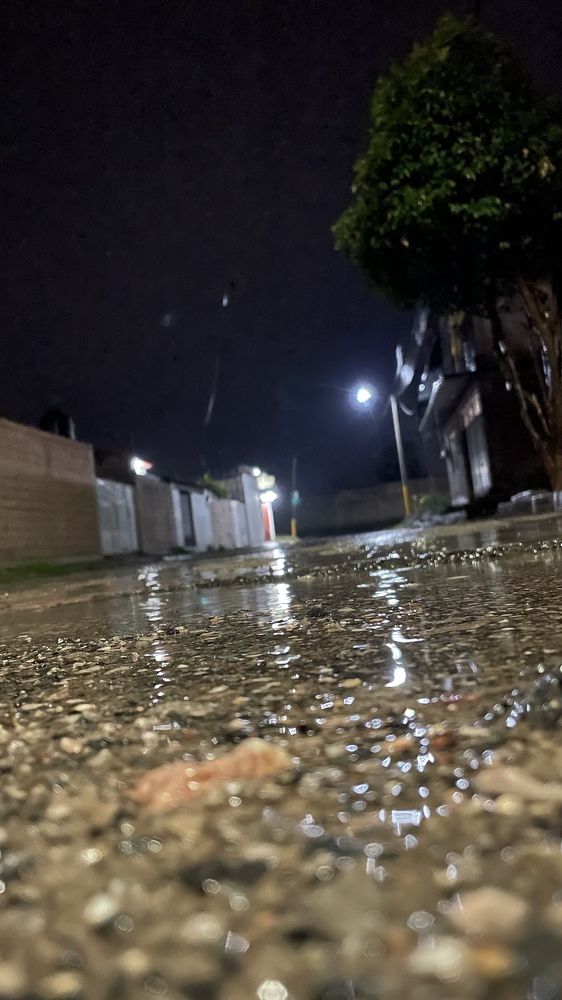 Photograph by Gerardo Jimenez