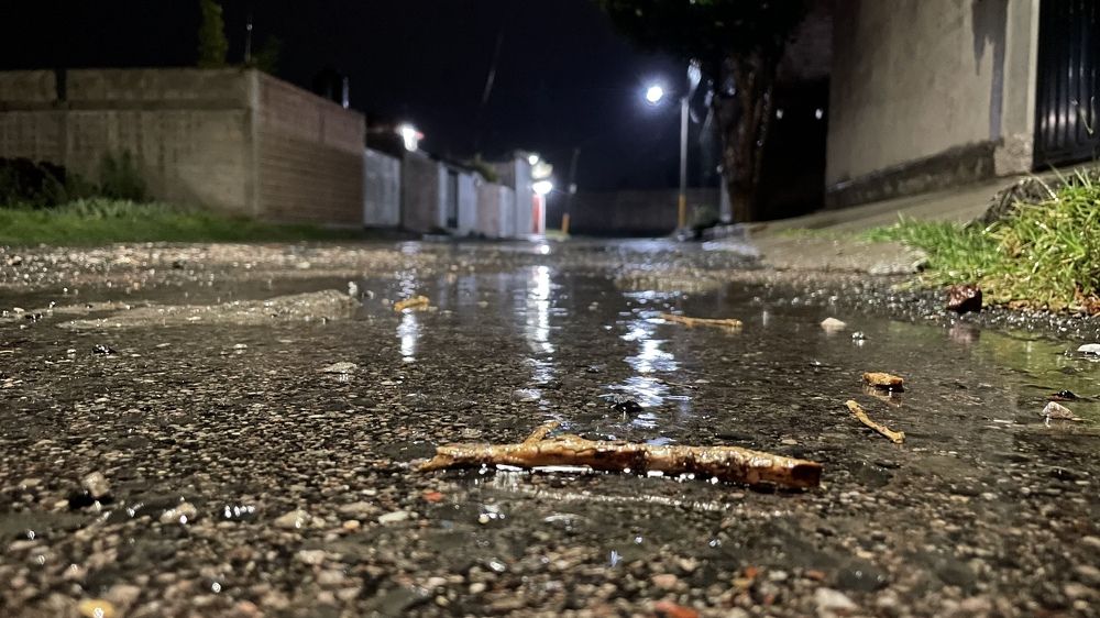 Photograph by Gerardo Jimenez