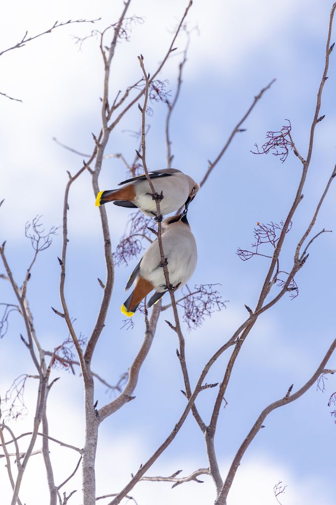 Photograph by Оксана Кузнецова