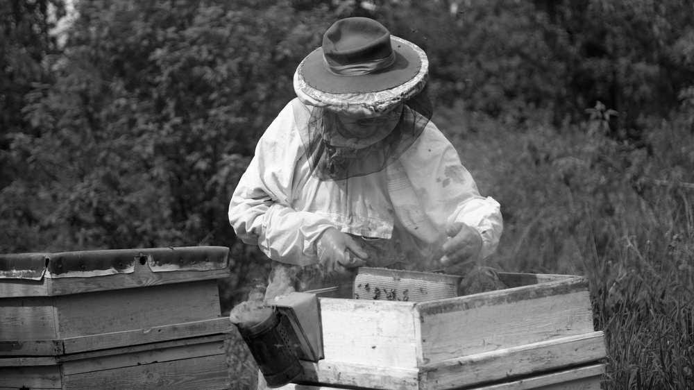 Photograph by Лариса Цепелева