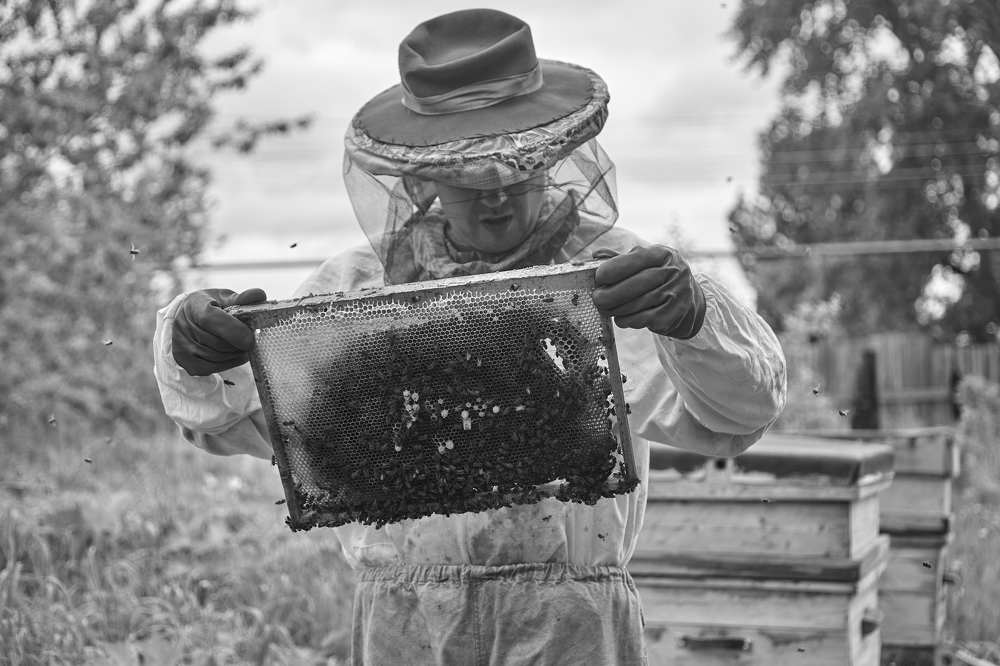 Photograph by Лариса Цепелева