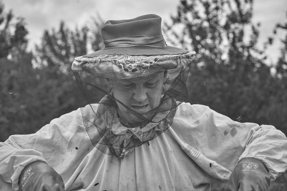 Photograph by Лариса Цепелева