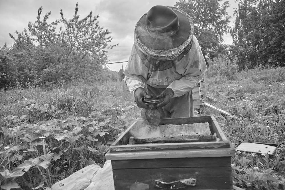 Photograph by Лариса Цепелева