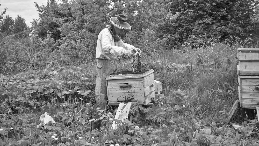 Photograph by Лариса Цепелева