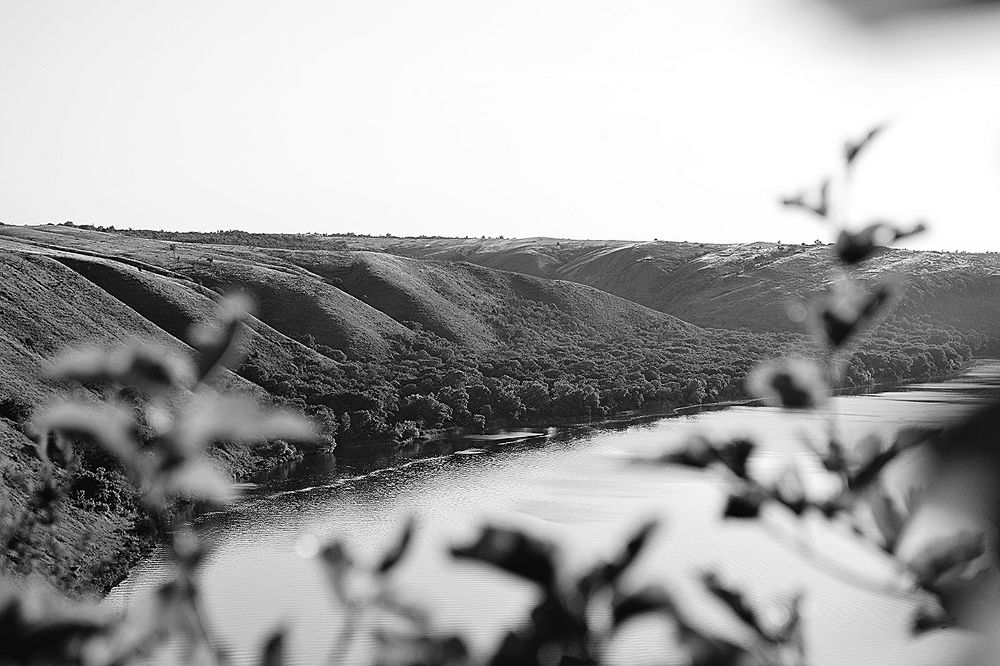 Photograph by Ольга