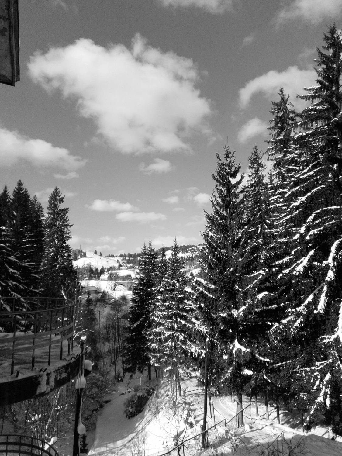 Photo #7670754
