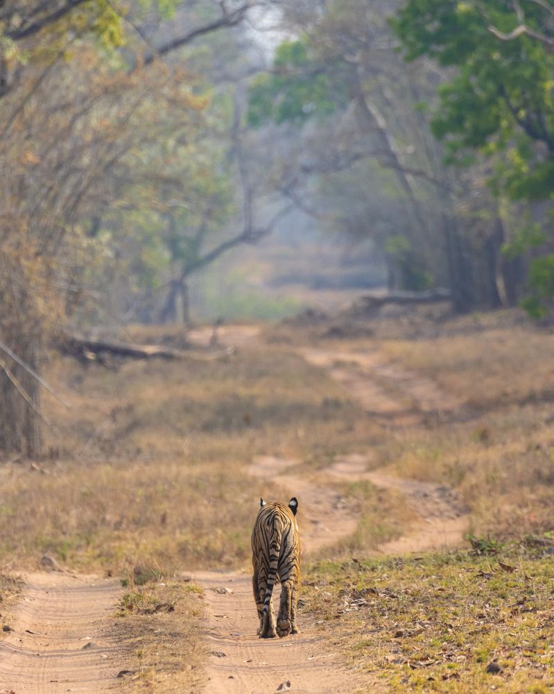 Photograph by Harsh Ghate