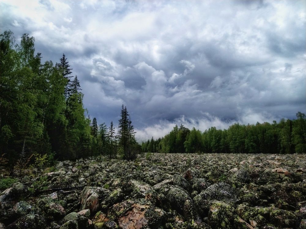 Photograph by Александр Гром