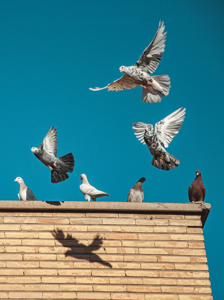 Photograph by mobin the abstract