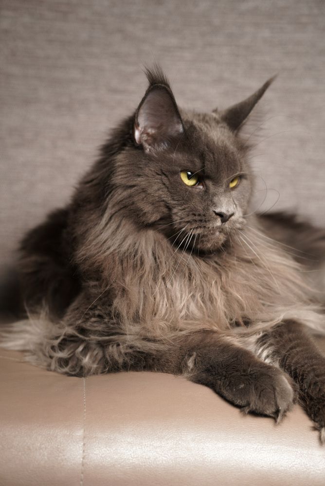 Photograph by Юлия