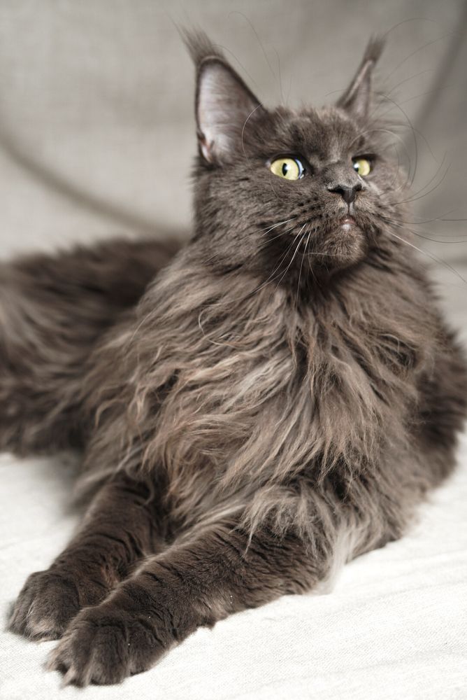 Photograph by Юлия