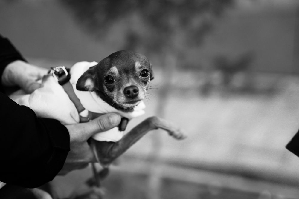 Photograph by Юлия