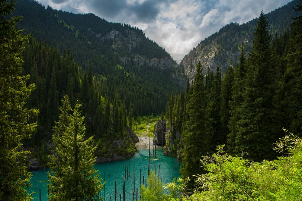 Photograph by Елена Прохорова