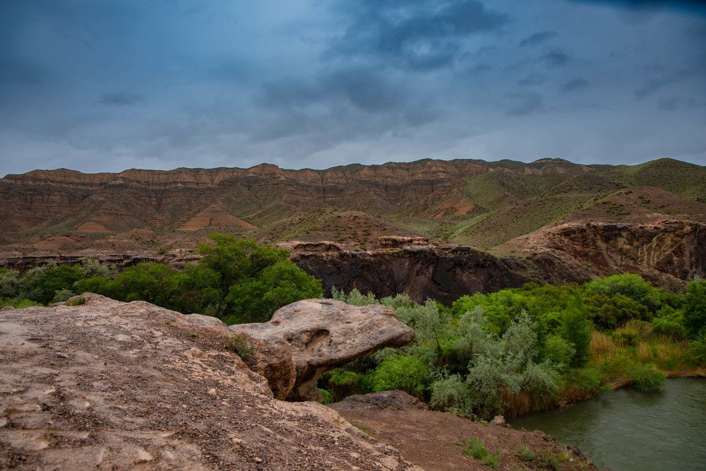 Photograph by Елена Прохорова