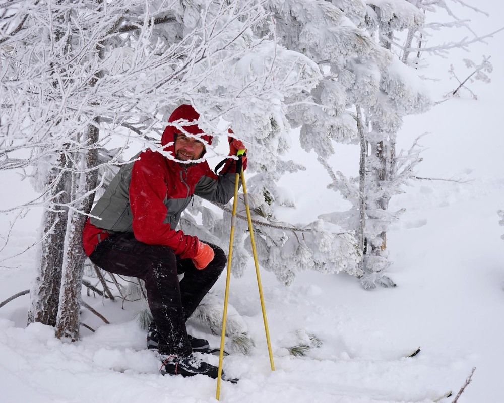 Фотография автора Татьяна Добровольская