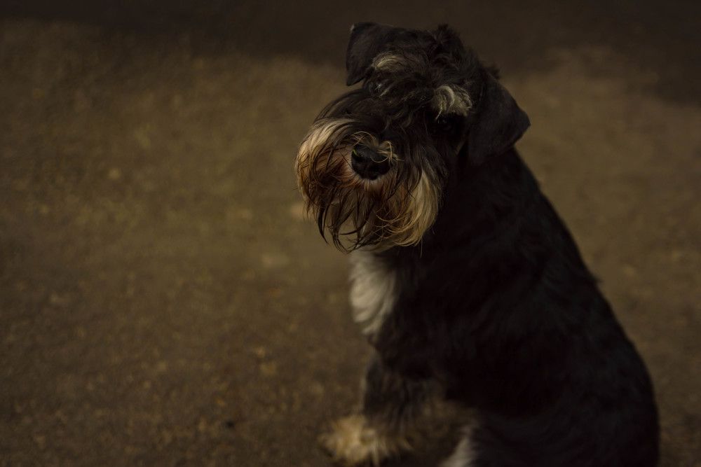 Photograph by Елена Прохорова