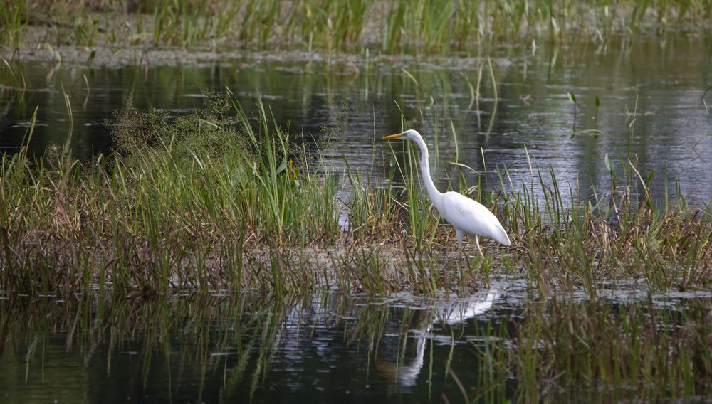 Photograph by Krzysztof Kozlowski