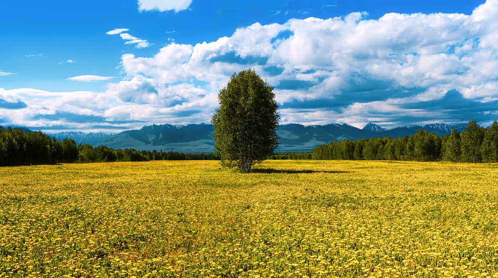 Фотография автора Антон Сандалов