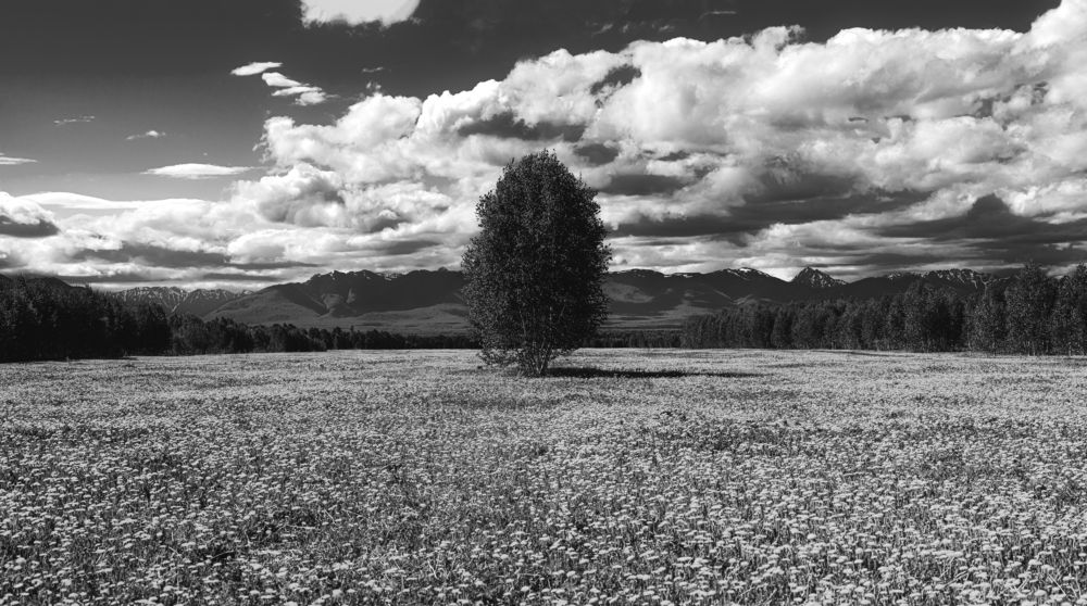 Фотография автора Антон Сандалов