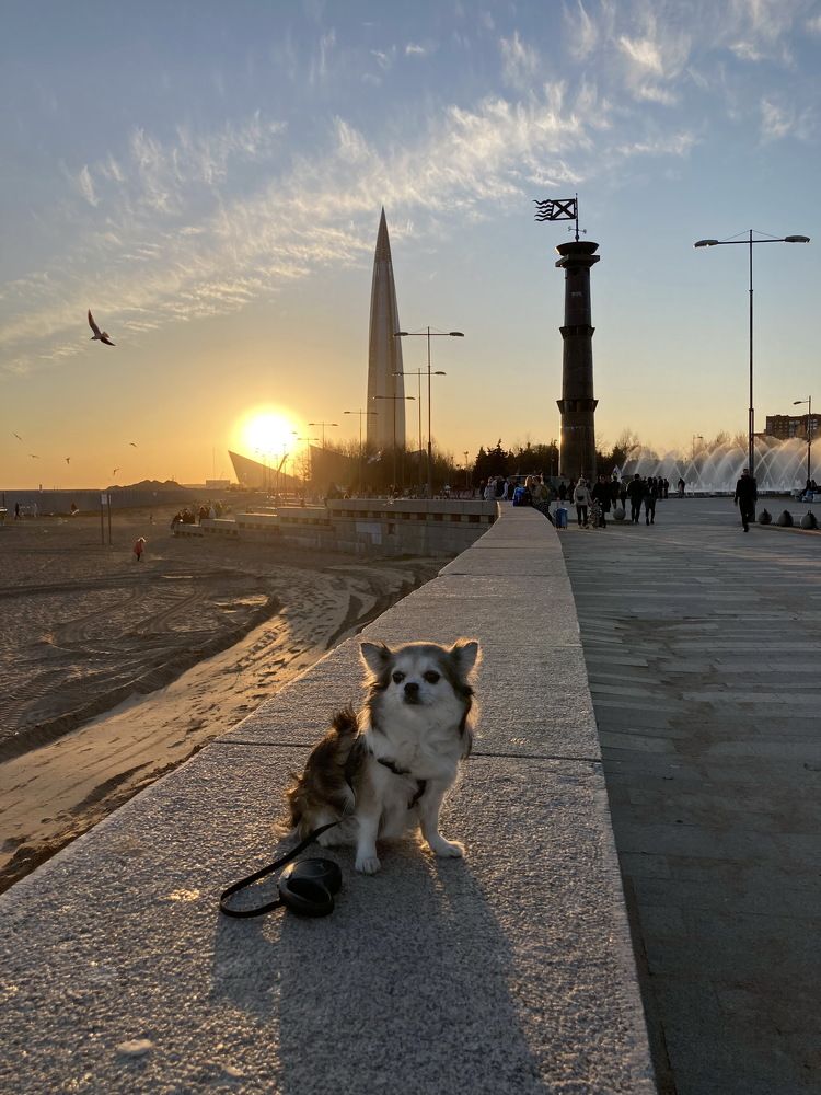 Прогулки на закате