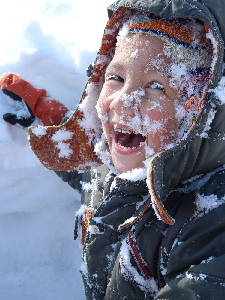 Photo #7671021