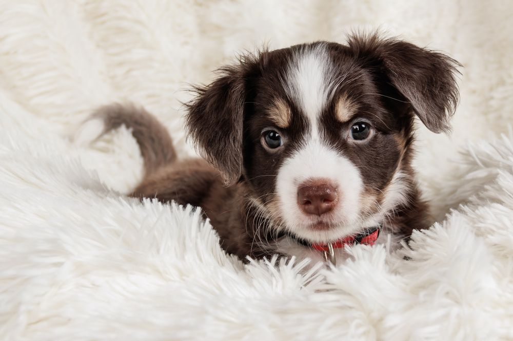 Photograph by Светлана Потапова