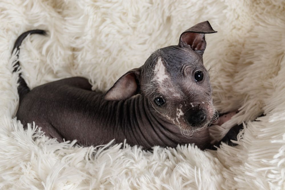 Photograph by Светлана Потапова