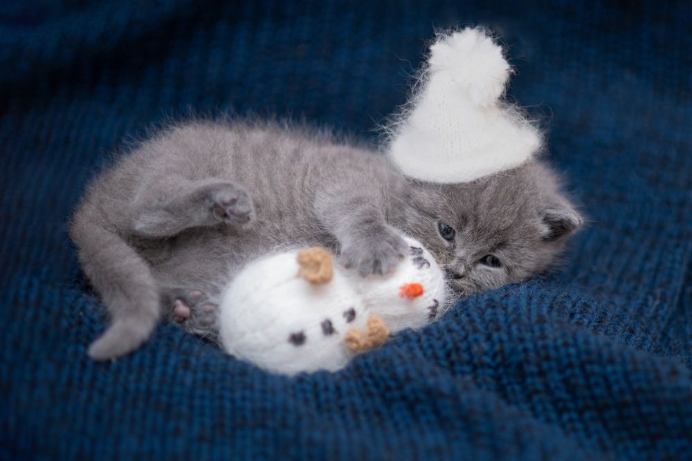 Photograph by Надежда Кураж