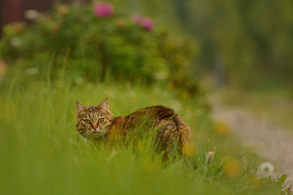 Photograph by Артем Клунко