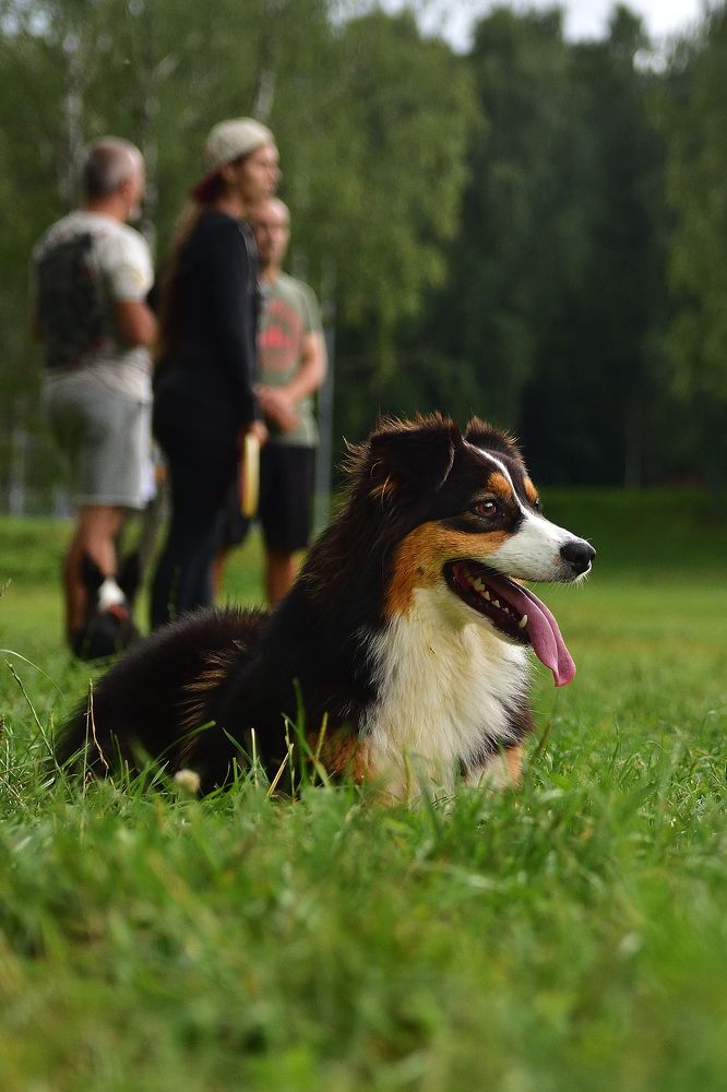 Photograph by Артем Клунко