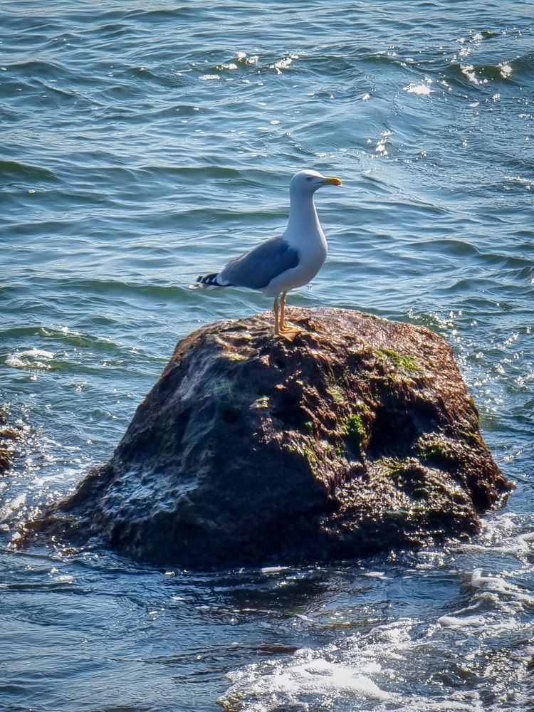 Photograph by Andreea Oancă