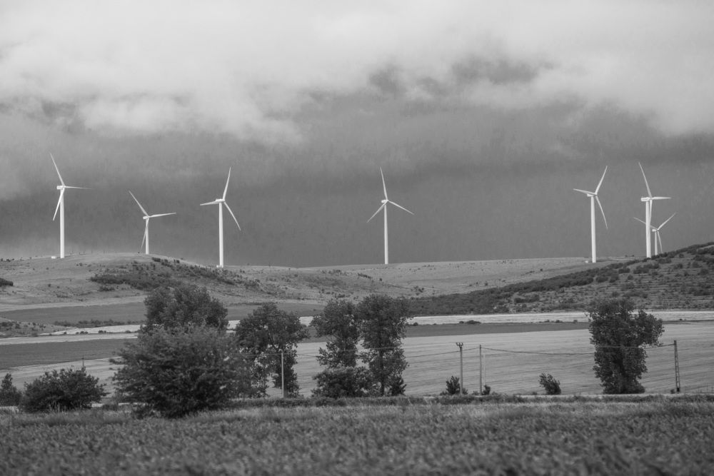 Photograph by FLORINDA LOREDANA CIURARU