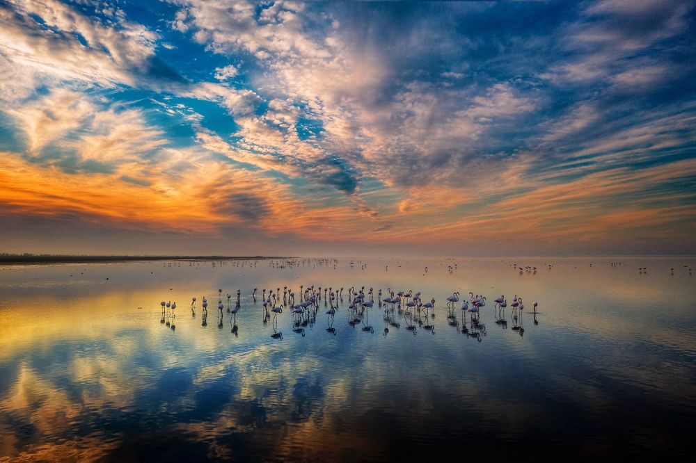 Photograph by mehdi mohebi pour