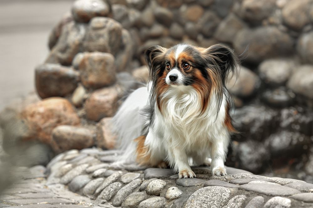 Photograph by Соловьёва Елена