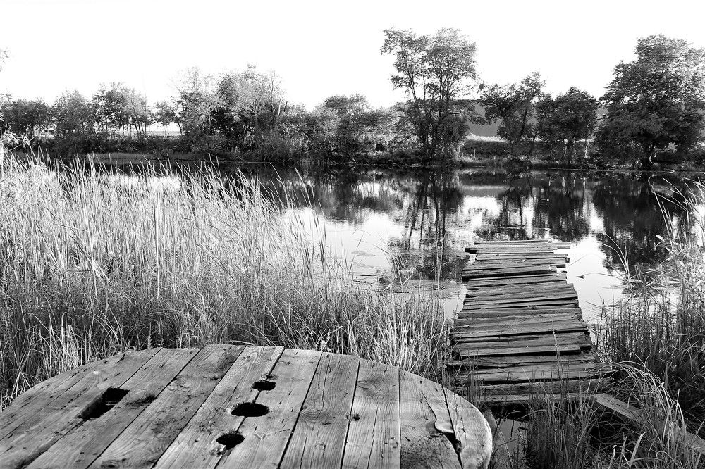 Photograph by Евсеева Валентина